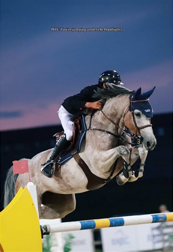 Experience Equestrian Showjumping Under Floodlights