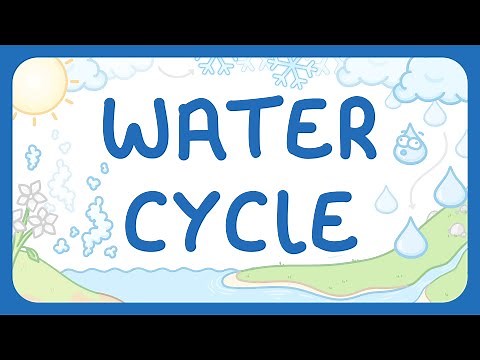The Water Cycle | Role of Gravity & Sunlight (Middle School Science)