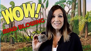 The History Seekers guys go out Fossil hunting in Alabama to find things that pre-date the Dinosaurs. We were joined by our friend Brandon from Adventure Archaeology And Southern Diggers. | History Seekers