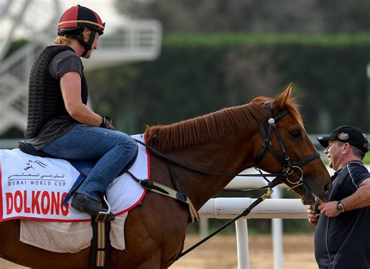 U.S.-Bred Korean Champion Dolkong Passes Away