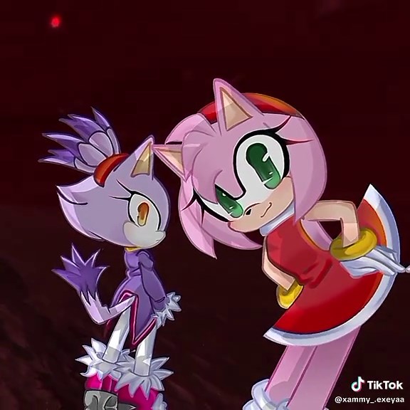 Blaze the Cat and Amy Rose: Sonic Friendship