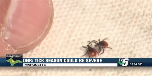Michigan DNR warns ticks could be severe this year