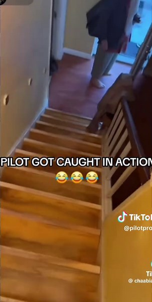 Pilot's Snafu: Incident Captured Live