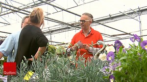 18K views · 130 reactions | La pénurie de main-d’œuvre ferait mal au service à la clientèle selon une enquête du Conseil québécois du commerce de détail (CQCD). Selon le secteur d’activité, le quart des répondants considère que le service en magasin s’est détérioré depuis la pandémie. | ICI Québec | Facebook