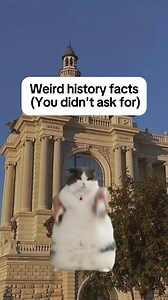 20K views · 403 reactions | Weird History Facts, you didn't ask for #fyp #facts #original #cats #history | Simply Stated History | Facebook