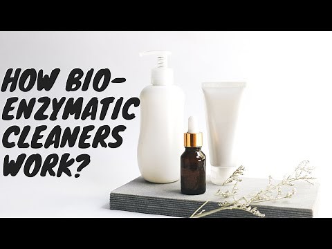 How Bio Enzymatic Cleaners Work?