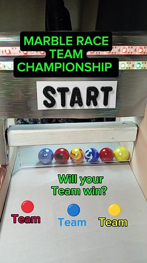 Exciting Marble Race Team Championship
