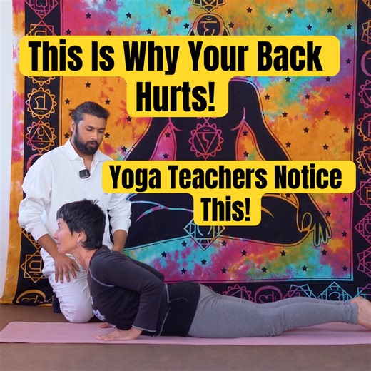 Cobra Pose Is NOT About Height 🐍 | Fix Your Alignment Now! #stretchreflex #stretchroutine