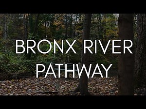 Bronx River Pathway | Scarsdale, NY Section | Nature Reframed