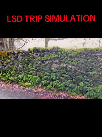 LSD Trip Simulation: A Journey into the Mind