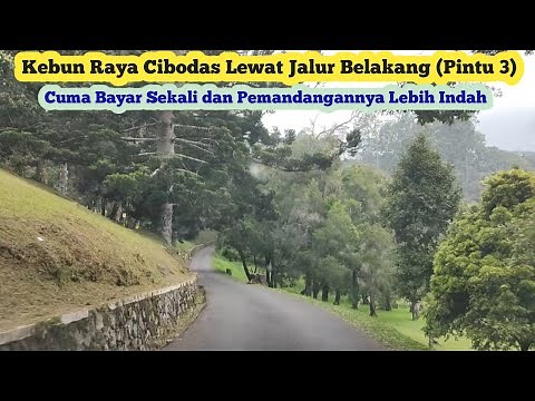 Rekomendasi Spot Wisata di Kebun Raya Cibodas | Lewat Pintu 3: Bayar Sekali, Pemandangan Lebih Bagus