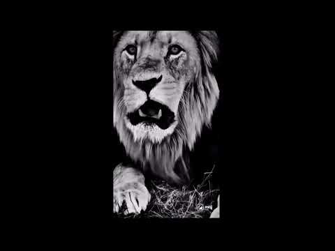 Wait for End 😈 Splendor Lovers #viralshort #vital #explorepage #subscribe 