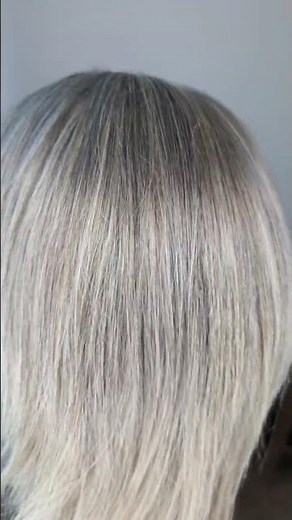 Salt and Pepper Grey Color | The Ponytail Wig by Encelia