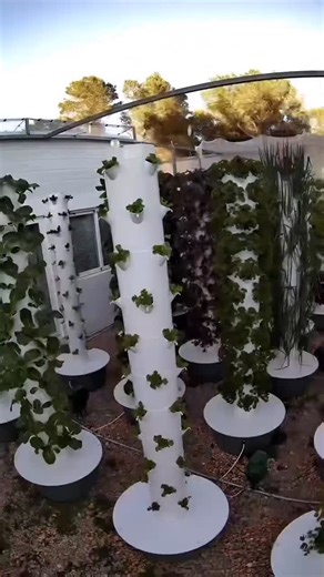 vertical vittles on Instagram: "Vertical farming using Dosatron allows to precisely dose nutrients for the plants, which are essential for healthy plant growth. @dosatronofficial #farming #agriculture #gardening #aeroponics #verticalfarming #hydroponics #towergarden #soilless"