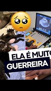 A CHEETARA ESTÁ DOENTE 😭