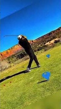Started on the Fairway… Ended in the Bushes