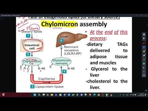 Lipid profile (Lipoproteins) - Biochemistry CVS