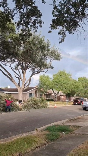 Tree Trimming & More is getting it done! It's a really nice way to finish up a Friday with a beautiful sight. If your tree needs a trim or even a removal, feel free to reach out and give them a call. They're locally owned and insured. Call (361) 933-6501 | Corpus Christi Crónica