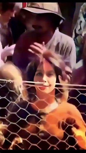 Daddy Cool Eagle Roack (Australia 1971)