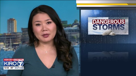 Video: Task Force One deployed