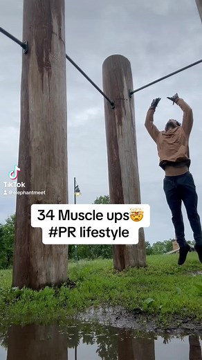 ElephantMeat (@elephantmeat)’s videos with original sound - ElephantMeat