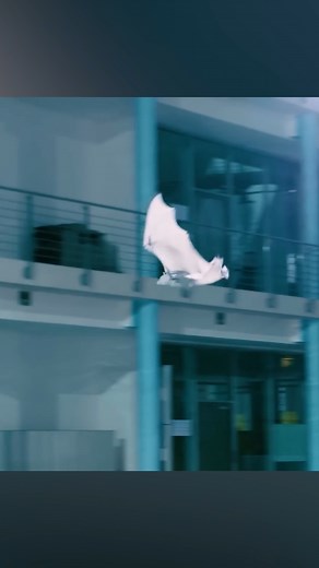 Unstoppable Gadgets | A flying robot that moves like a real Bat?! FESTO BIONIC FLYING FOX https://www.youtube.com/watch?v=zDq4kjY19UU | Instagram