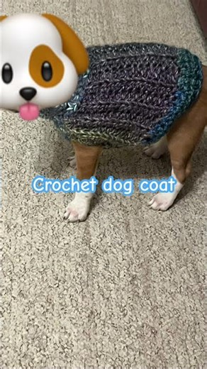 Crochet dog coat !!!!:) #dog #crochet #crochetdog