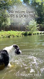 69 reactions · 3 comments | Finley loves his Happy Tails Cottage Dog...