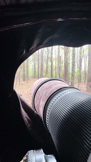 Wildlife Photography Setup for Turkeys with Canon Equipment