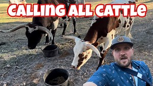 81K views · 7.3K reactions | interesting tidbits i bet you didn't know | Ima Survivor Donkey and Farm Animal Sanctuary | Facebook