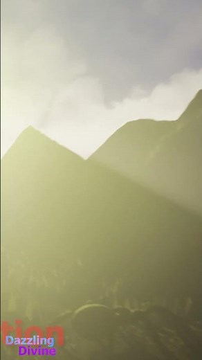 Biggest Spider Ever Caught on Tape #spider #dazzlingdivine