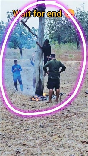 The Lost Art of Tree Climbing