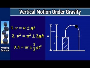 Vertical Motion Under Gravity || Complete Concept Guide #highschoolphysics
