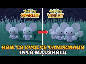 How To Evolve Tandemaus Into Maushold In Pokemon Scarlet and Violet