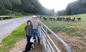 Summerfield Farm , Sheep and Lambs - John Fant & Brenda Bonk | Visit Grayson County Virginia