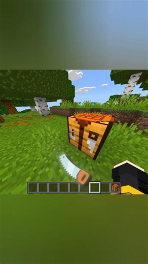 Minecraft block Secret...! #Mcpepg