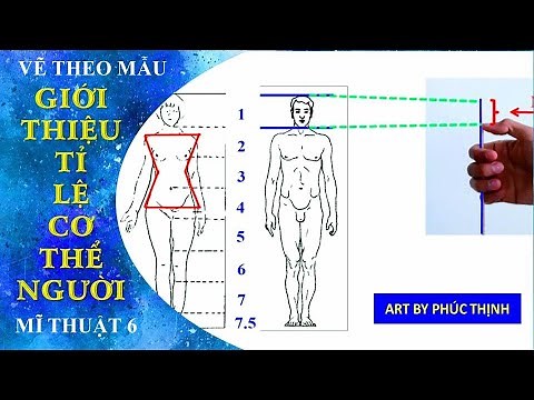 Cách Vẽ Tỉ Lệ Cơ Thể Người | Tập Vẽ Dáng Người | Art By Phúc Thịnh