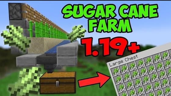 Automatic Sugar Cane Farm Minecraft 1.19+