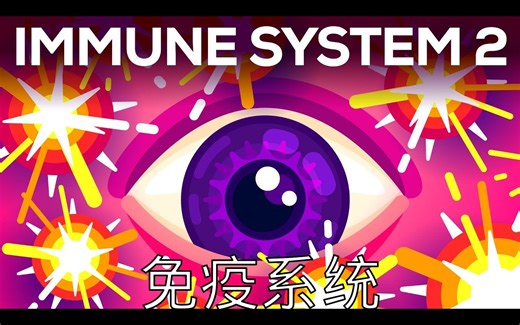 【中文配音】你血液中的微型炸弹 - 补体系统 - Kurzgesagt_哔哩哔哩_bilibili