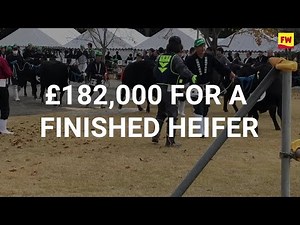 Japanese Wagyu beef auction