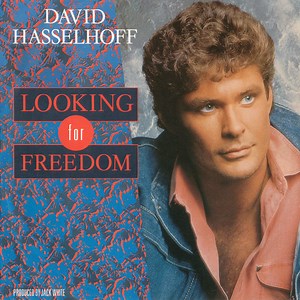 David Hasselhoff - Looking For Freedom