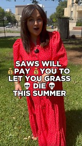 947 reactions · 13 shares | Let your grass die this summer….and SAWs will pay you for it. SAWs water saver coupon program provides $125 in coupons for 15 native plants if you replace 200 square feet of grass with a native plant bed. Watch ⬆️⬆️⬆️ to see how. | Sarah Acosta | Facebook