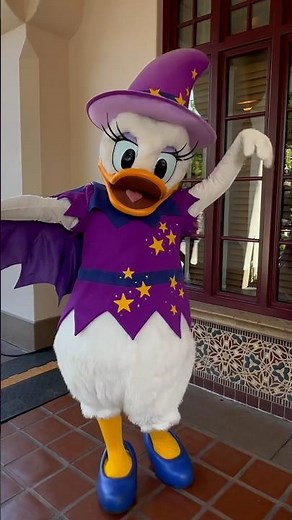 Check out Daisy Ducks costume in Disney California Adventure!