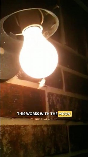 Why Do Moths Spiral Around Lights? #thingsthatamaze #facts