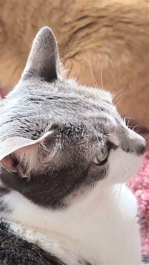 Did you know the 500 euro note is the least used in Europe?