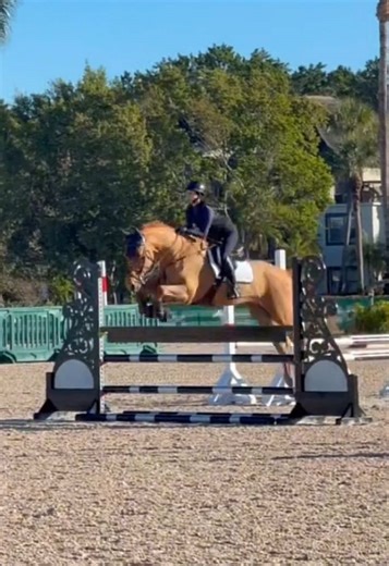 Gymnastics Day Experience: Learning and Growth