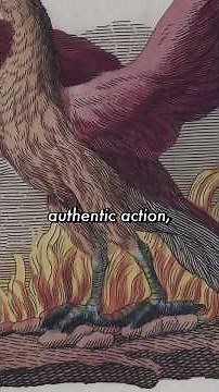 What the Four Elements Really Mean #ancientwisdom #carljung #hermeticism #alchemy