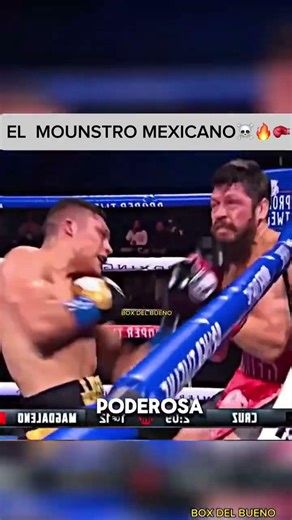 El Mike Tyson mexicano #boxeo #boxing #box