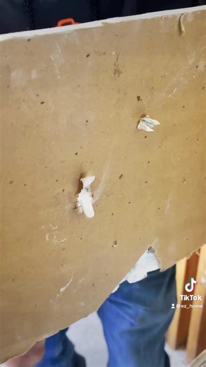 Best Drywall Anchor for Hanging: A Quick Comparison