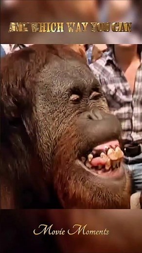 Clint Eastwood Whoops Jack Wilson 👊